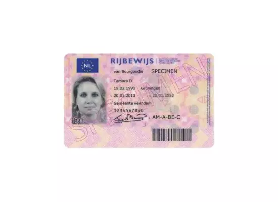 DUTCH DRIVER’S LICENSE