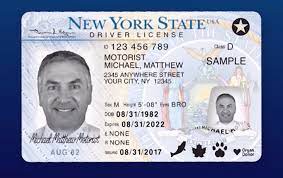 New York State Driver License